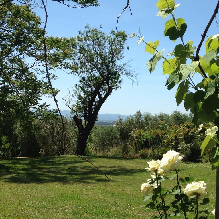 Residenza Santa Maria In Borraccia Bed and Breakfast Magliano in Toscana Exterior foto