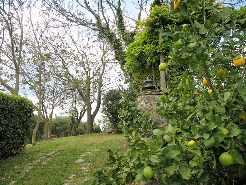 Residenza Santa Maria In Borraccia Bed and Breakfast Magliano in Toscana Exterior foto